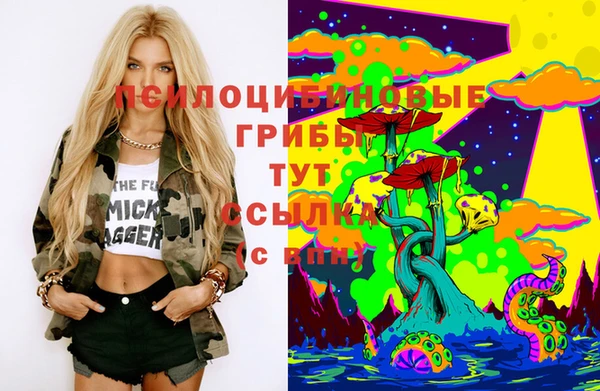 шишки Балабаново