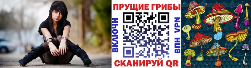 Псилоцибиновые грибы Cubensis  купить  цена  Сосновка 