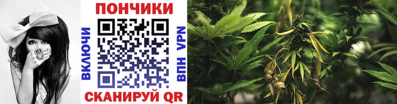 МАРИХУАНА SATIVA & INDICA  где купить наркоту  Сосновка 